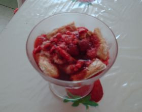 Tiramisu-aux-fruits-rouges-par-Xgirlfrommars