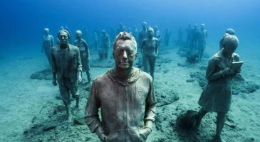 Un musée aquatique va ouvrir à Marseille - %%sitename%%