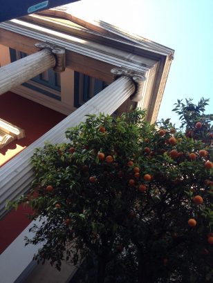Voir-Athenes-et-vouloir-revoir-Athenes