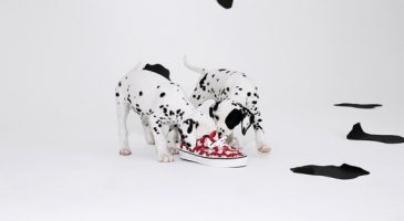 "Young At Heart", la nouvelle collection Disney de Vans