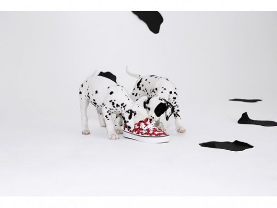 Young-At-Heart-la-nouvelle-collection-Disney-de-Vans