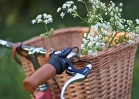 Dossier spécial : Vélo, mon amour ! - %%sitename%%