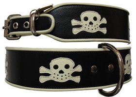 J'ai trouvé un collier original pour mon meilleur ami ! - %%sitename%%