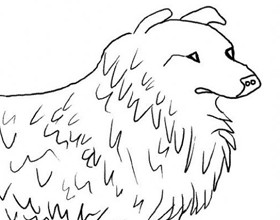 coloriage-chien-colley