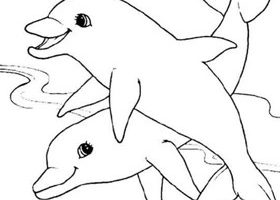 Coloriage : le couple de dauphins Coloriage dauphins à imprime - %%sitename%%