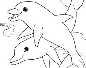 coloriage-dauphins