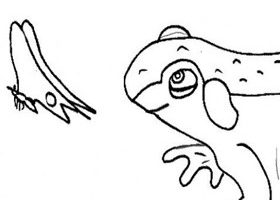 Coloriage : la grenouille coloriage grenouille à imprimer - %%sitename%%