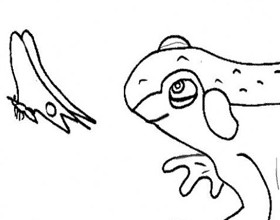 coloriage-grenouille