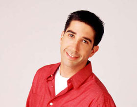david-schwimmer-fiance