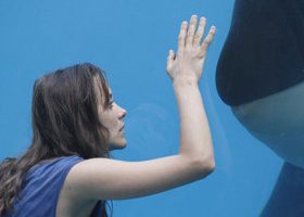 Pourquoi tout le monde va parler du film De rouille et d'os ?