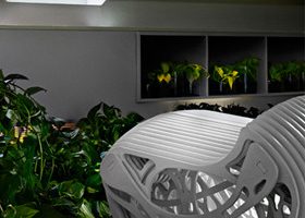 Déco : urbain VS sauvage - %%sitename%%