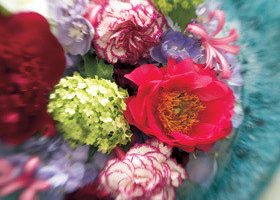 Fleurs de Tricia Guild - %%sitename%%
