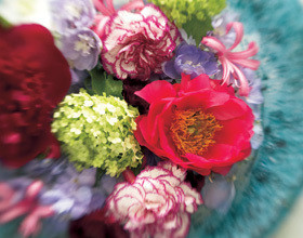 fleurs-de-tricia-guild