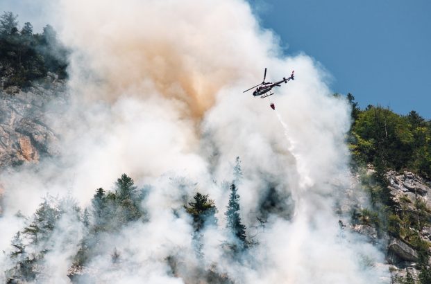 foret-comment-eviter-les-incendies