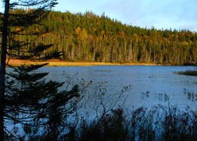 Mon été indien en Gaspésie l'orignal n'est pas un caribou - %%sitename%%