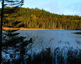 gaspesie