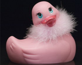 j-teste-pour-vous-canard-vibrant