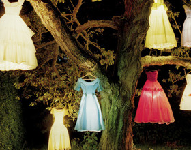 la-foret-de-mon-reve