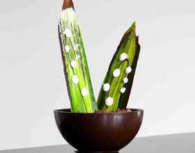 muguet-au-chocolat