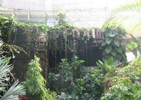 Nice: le Parc Phoenix en famille