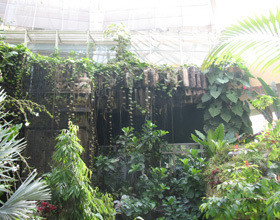 parc-phoenix