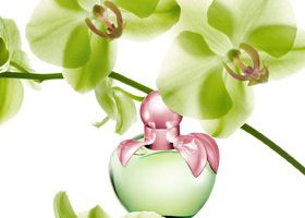 Dis-moi où tu pars, je te dirai quel parfum porter ! - %%sitename%%