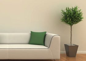 Mes belles plantes, c'est pas que de la déco