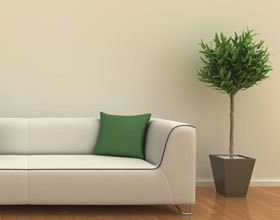 plantes-depolluantes