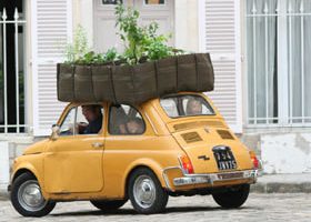 Un jardin chez moi, même en appartement ? - %%sitename%%
