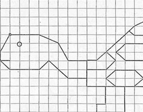 quadrillage-tortue