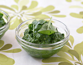 sauce-pesto-epinards-coriandre