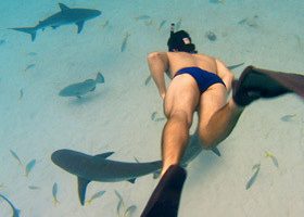 Les seigneurs de la mer - %%sitename%%