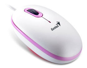 souris-genuis-ambidextre
