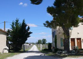 Échappée sauvage en Camargue Echapée sauvage en Camargue - %%sitename%%