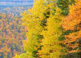 Où vais-je partir cet automne ? J'hésite... - %%sitename%%
