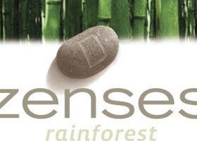 Jeux vidéo - J'ai testé le jeu Zenses...