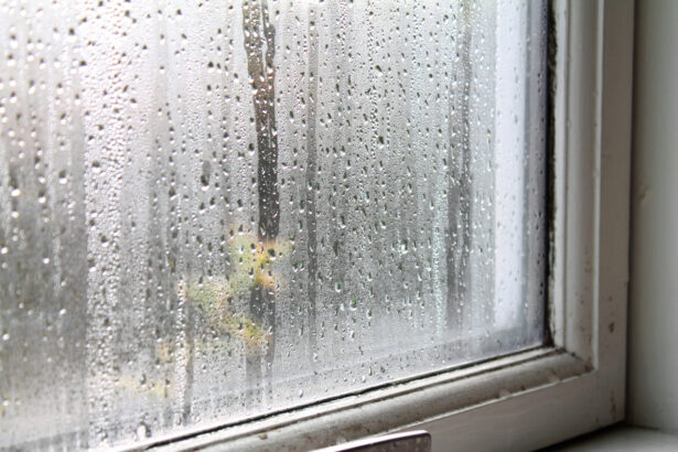 Ce geste simple pour éviter la condensation sur vos vitres cet hiver et assainir votre intérieur