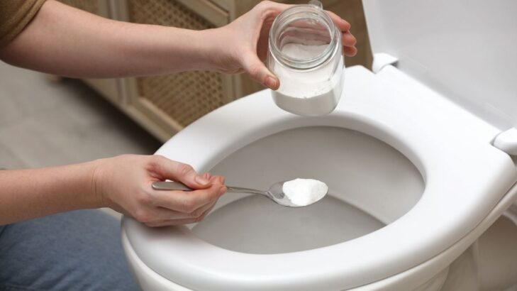 sel toilettes astuce