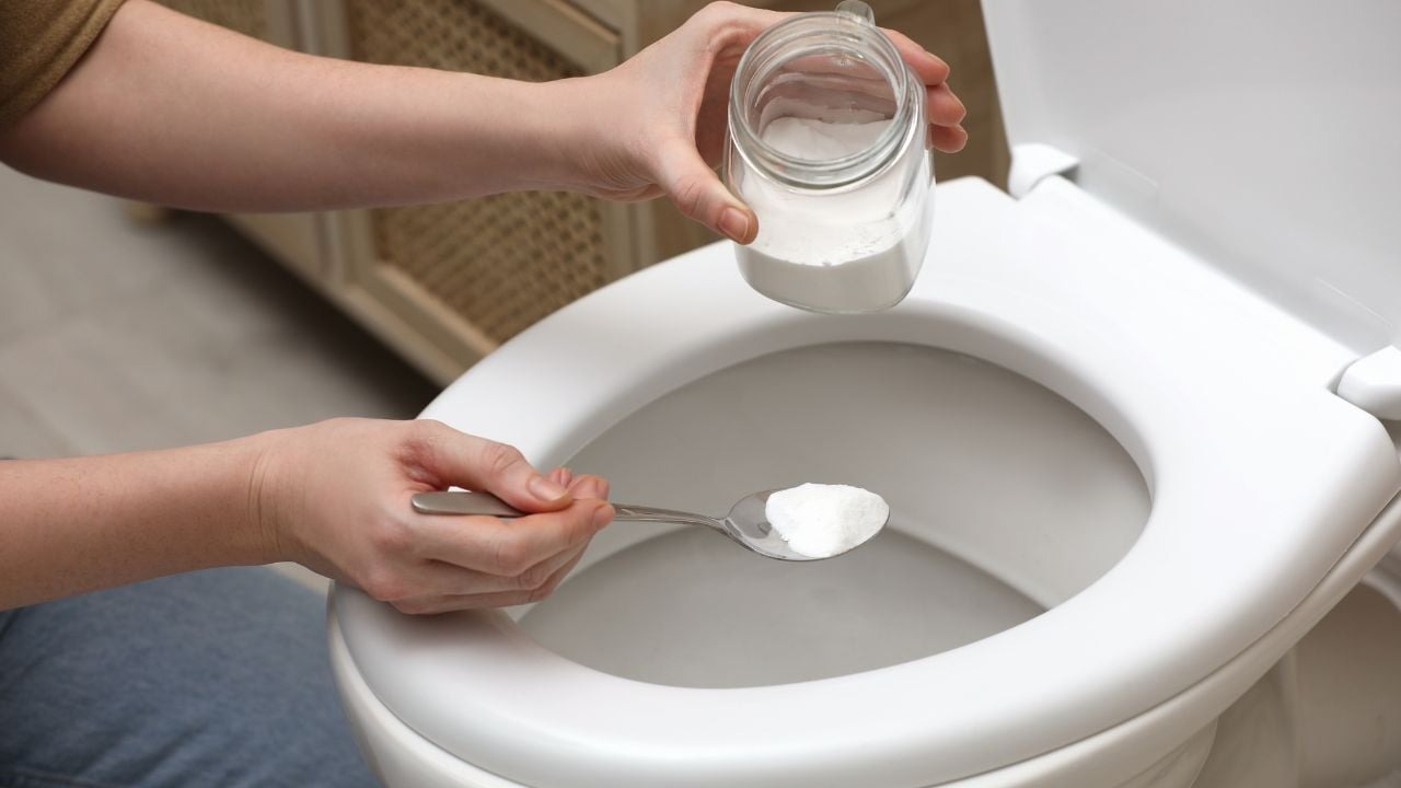 sel toilettes astuce