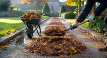 Ce geste naturel en novembre 2025 sur vos allées stoppe les mauvaises herbes des mois durant, les experts du jardin l’adoptent