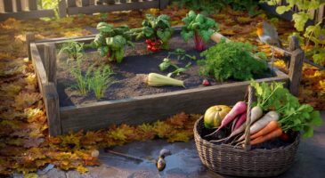J’ai arrêté de jardiner et mon potager m’a répondu seul, voici ce que l’automne 2025 a fait pousser sans moi