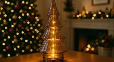 Lidl frappe fort à noël : cette déco à 8 euros affole les amateurs de chic et fait trembler marques premium