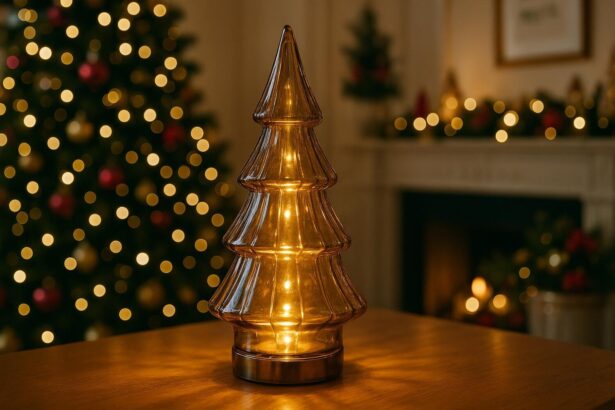 Lidl frappe fort à noël : cette déco à 8 euros affole les amateurs de chic et fait trembler marques premium