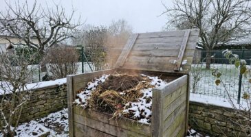 Compost en hiver : cette habitude de jardinage que vous croyez utile l'empêche de travailler tout l'hiver