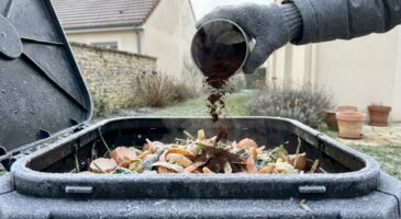 Compost gelé tout l'hiver : ce déchet du petit-déjeuner que vous jetez peut tout changer en quelques jours