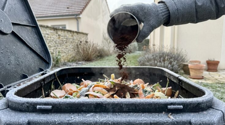 Compost gelé tout l'hiver : ce déchet du petit-déjeuner que vous jetez peut tout changer en quelques jours