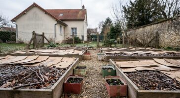 Vous les jetez après Noël, mais ces cartons valent de l'or au jardin et vous évitent une grosse dépense
