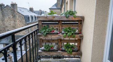 Ce potager vertical quasi gratuit à lancer en janvier avec ces déchets du quotidien va métamorphoser votre balcon