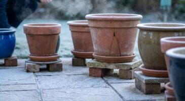 Ce réflexe de 5 secondes que tous les jardiniers devraient avoir pour éviter l’éclatement de leurs pots au gel