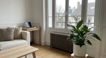 En janvier, cette plante d'intérieur fait fureur et change tout dans le salon grâce à un détail inattendu